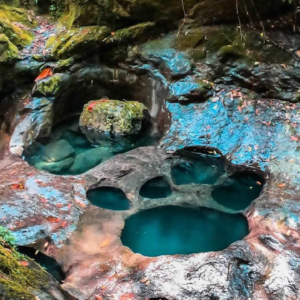 Pozas Pata de Perro Cuetzalan